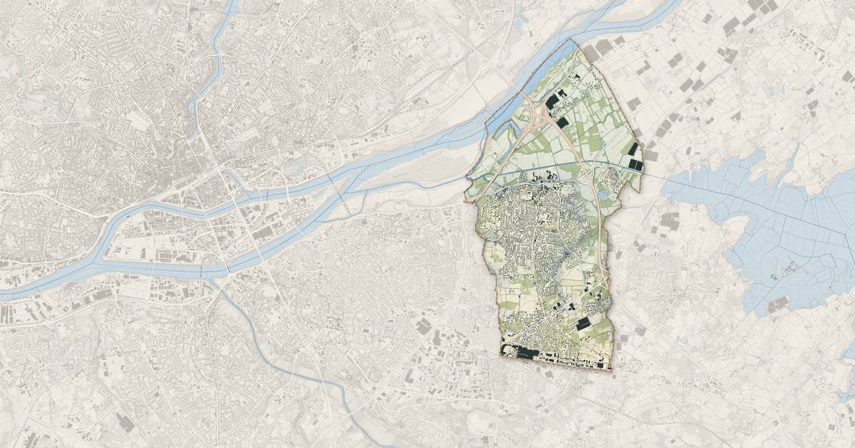 Portrait cartographique de Basse-Goulaine : relief, eau, forêts, bâti et voies, calculés à partir des données de l'IGN