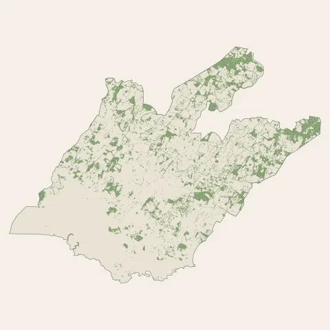 Guérande : bois, forêts et landes