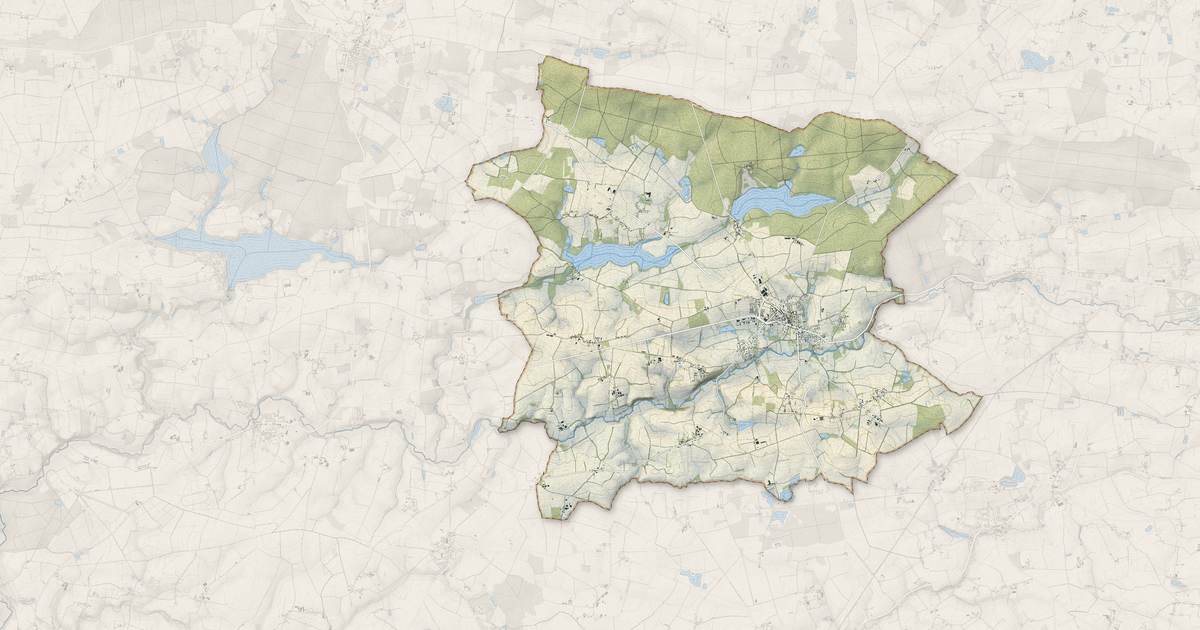 Portrait cartographique de Riaillé : relief, eau, forêts, bâti et voies, calculés à partir des données de l'IGN