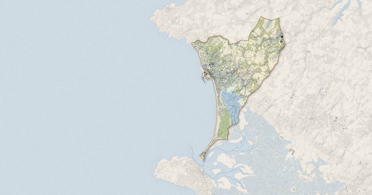Portrait cartographique de La Turballe : relief, eau, forêts, bâti et voies, calculés à partir des données de l'IGN