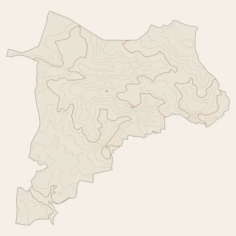 Vay : courbes de niveau