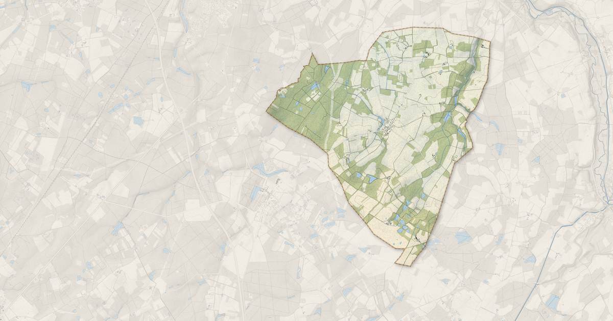 Portrait cartographique de Adon : relief, eau, forêts, bâti et voies, calculés à partir des données de l'IGN