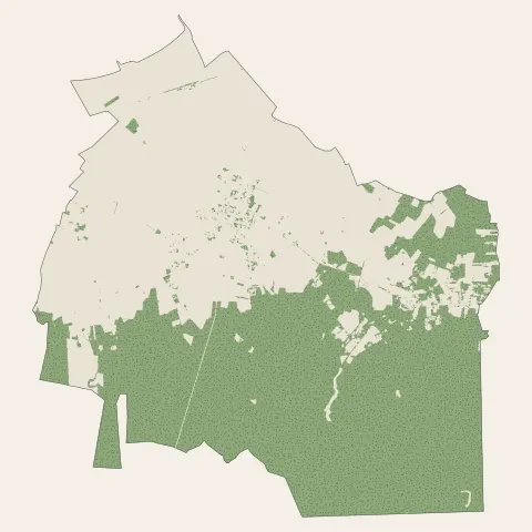 Chilleurs-aux-Bois : bois, forêts et landes