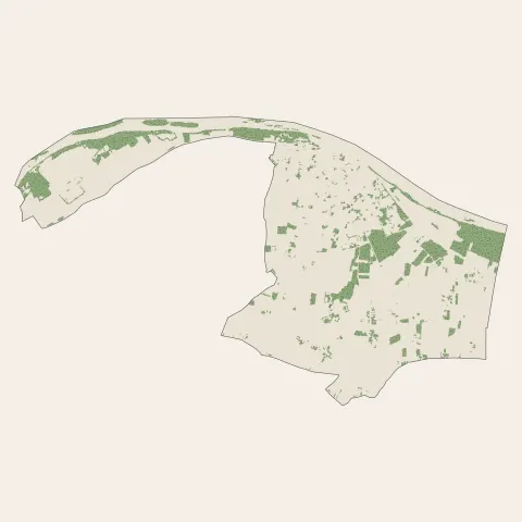 Jargeau : bois, forêts et landes