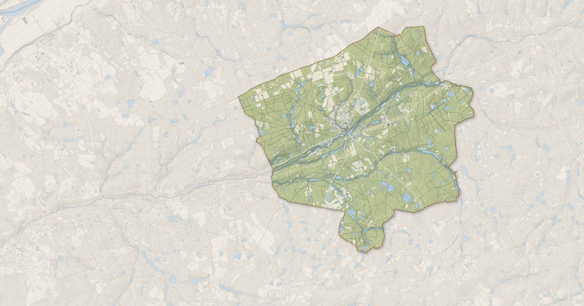 Portrait cartographique de Ligny-le-Ribault : relief, eau, forêts, bâti et voies, calculés à partir des données de l'IGN
