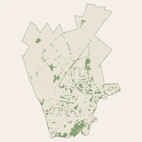 Pithiviers : bois, forêts et landes
