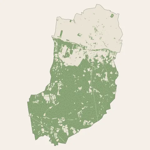 Tigy : bois, forêts et landes