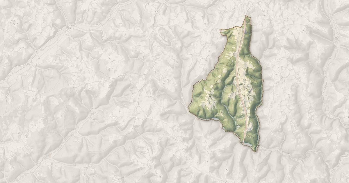 Portrait cartographique de Nadillac : relief, eau, forêts, bâti et voies, calculés à partir des données de l'IGN