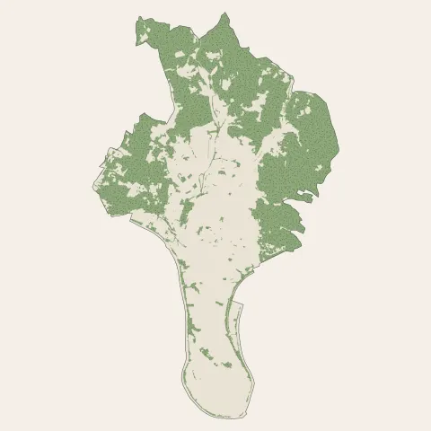 Prayssac : bois, forêts et landes