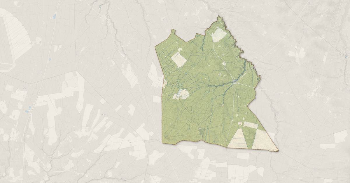 Portrait cartographique de Allons : relief, eau, forêts, bâti et voies, calculés à partir des données de l'IGN