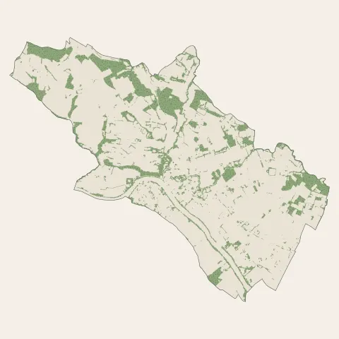 Casseneuil : bois, forêts et landes