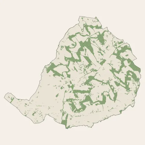 Castelculier : bois, forêts et landes