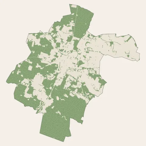 Casteljaloux : bois, forêts et landes