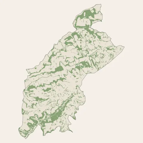 Foulayronnes : bois, forêts et landes