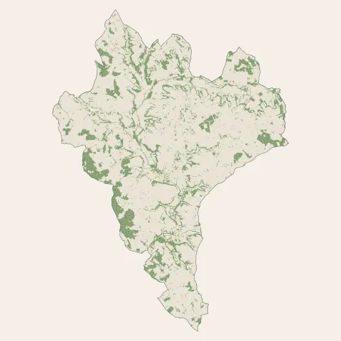 Monflanquin : bois, forêts et landes