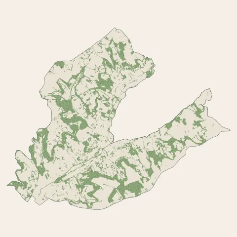 Pont-du-Casse : bois, forêts et landes