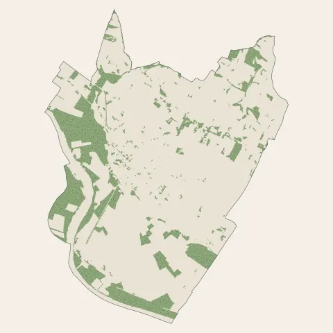 Sainte-Bazeille : bois, forêts et landes