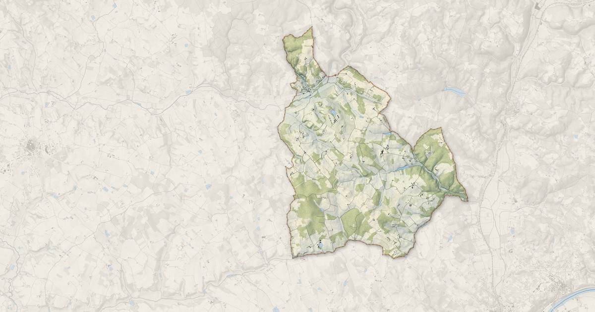 Portrait cartographique de Salles : relief, eau, forêts, bâti et voies, calculés à partir des données de l'IGN