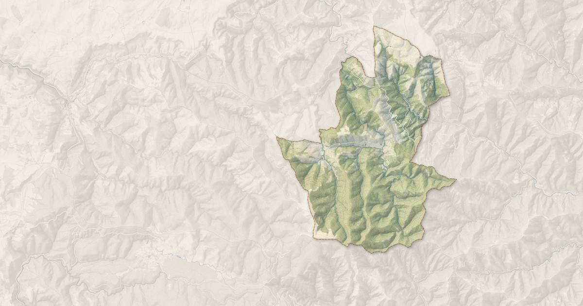Portrait cartographique de Bassurels : relief, eau, forêts, bâti et voies, calculés à partir des données de l'IGN