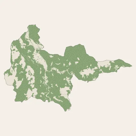 Florac Trois Rivières : bois, forêts et landes