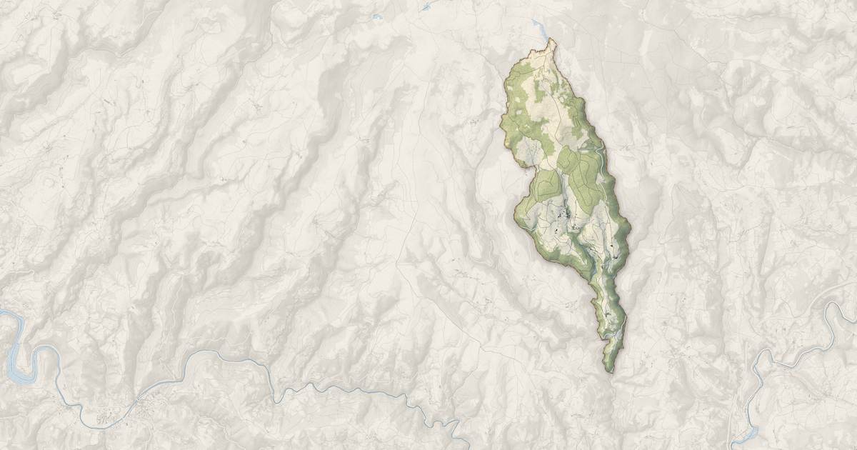Portrait cartographique de Les Hermaux : relief, eau, forêts, bâti et voies, calculés à partir des données de l'IGN
