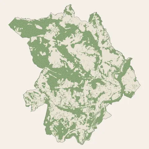 Bourgs sur Colagne : bois, forêts et landes