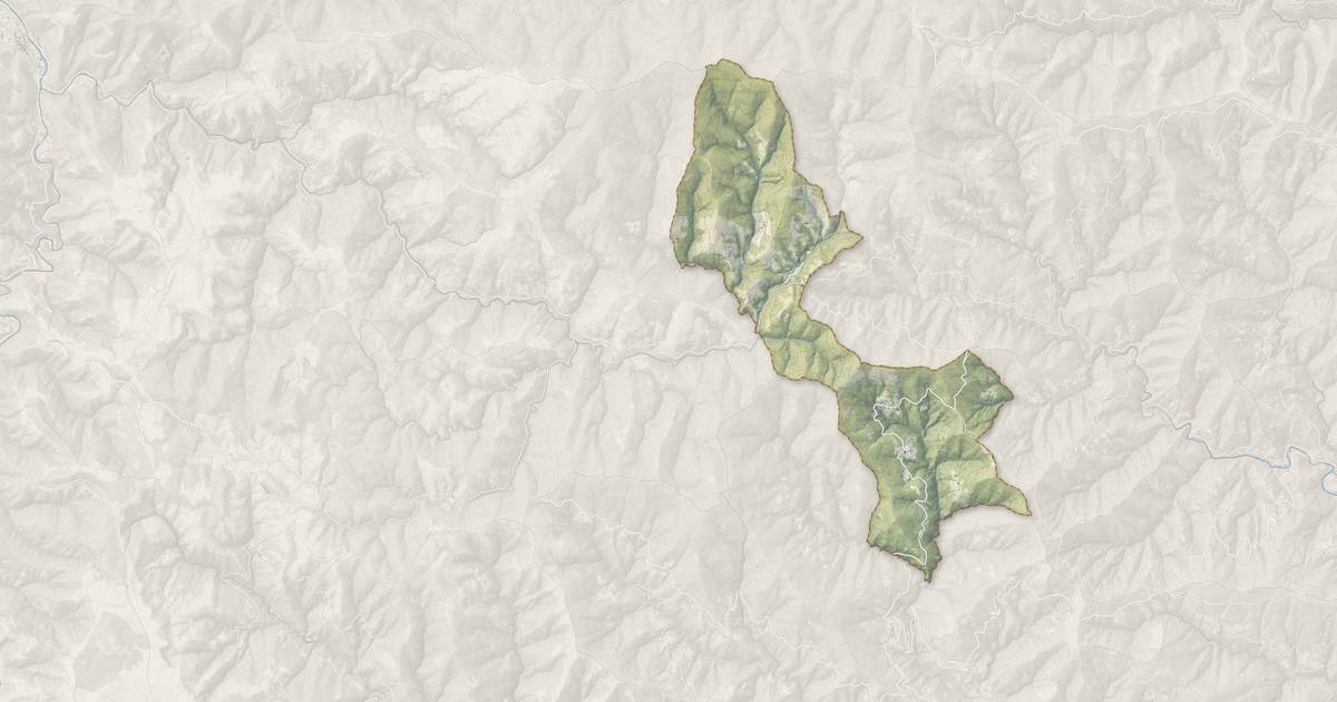 Portrait cartographique de Saint-André-de-Lancize : relief, eau, forêts, bâti et voies, calculés à partir des données de l'IGN