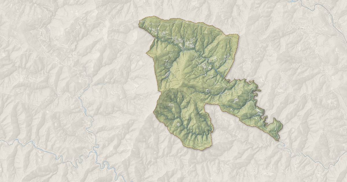 Portrait cartographique de Saint-Martin-de-Boubaux : relief, eau, forêts, bâti et voies, calculés à partir des données de l'IGN