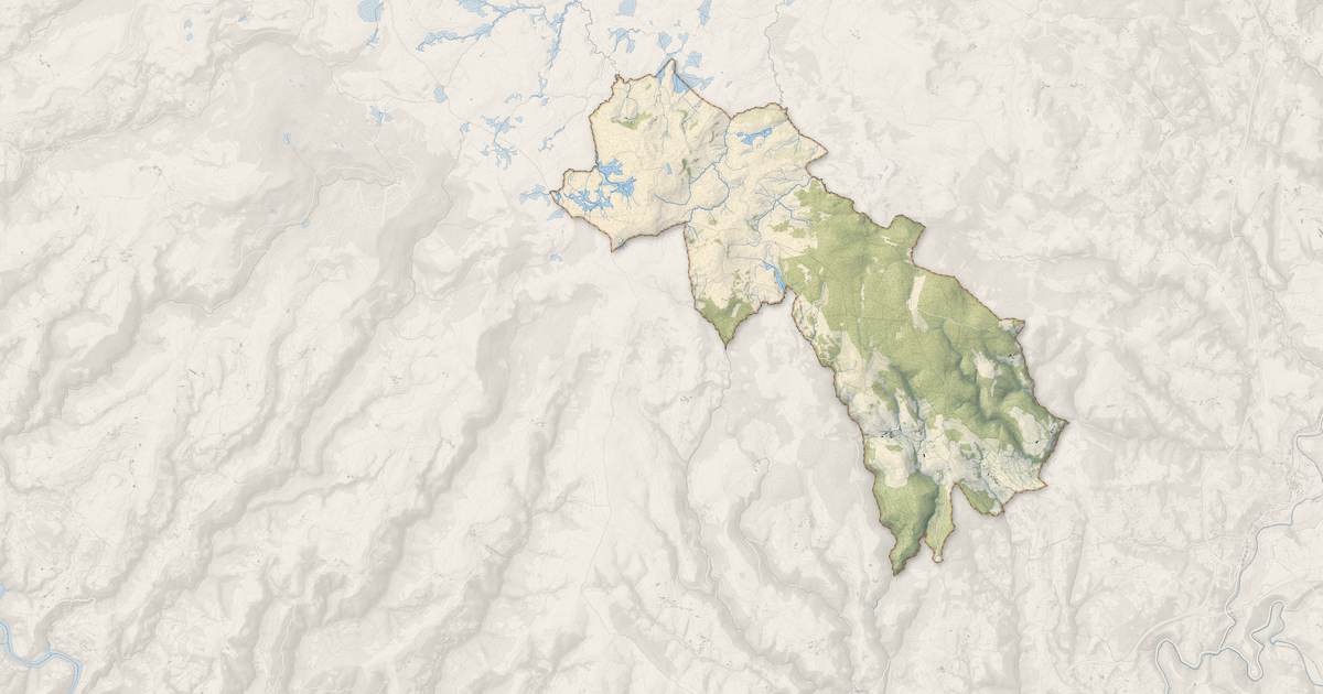 Portrait cartographique de Les Salces : relief, eau, forêts, bâti et voies, calculés à partir des données de l'IGN