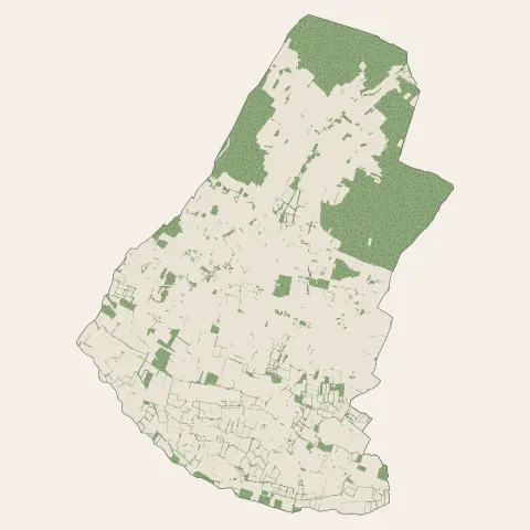 Allonnes : bois, forêts et landes