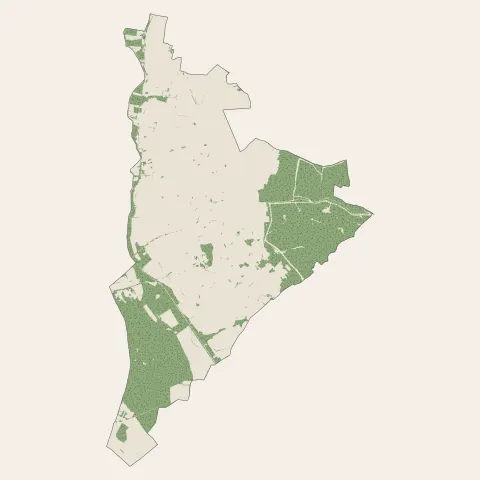 Bellevigne-les-Châteaux : bois, forêts et landes