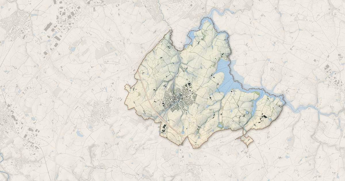 Portrait cartographique de La Tessoualle : relief, eau, forêts, bâti et voies, calculés à partir des données de l'IGN