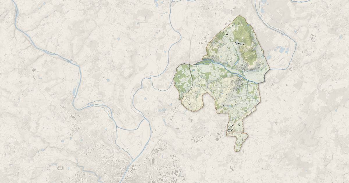 Portrait cartographique de Rives-du-Loir-en-Anjou : relief, eau, forêts, bâti et voies, calculés à partir des données de l'IGN