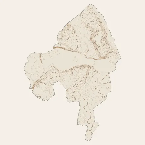Rives-du-Loir-en-Anjou : courbes de niveau
