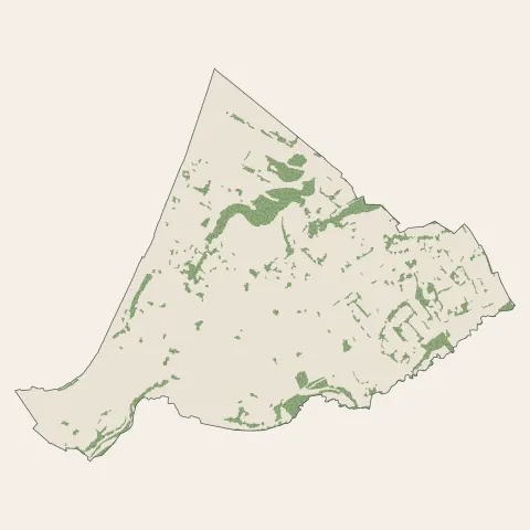 Donville-les-Bains : bois, forêts et landes