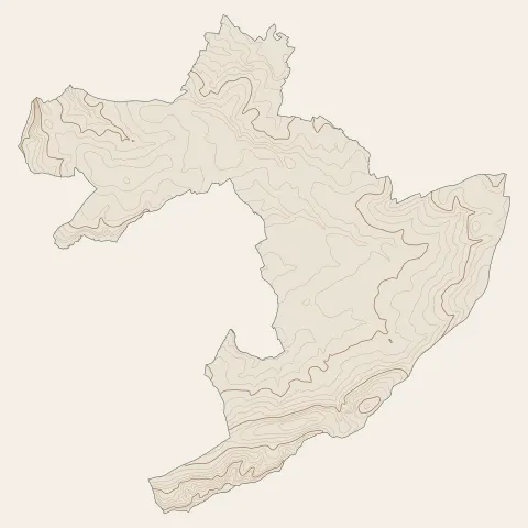 Torigny-les-Villes : courbes de niveau