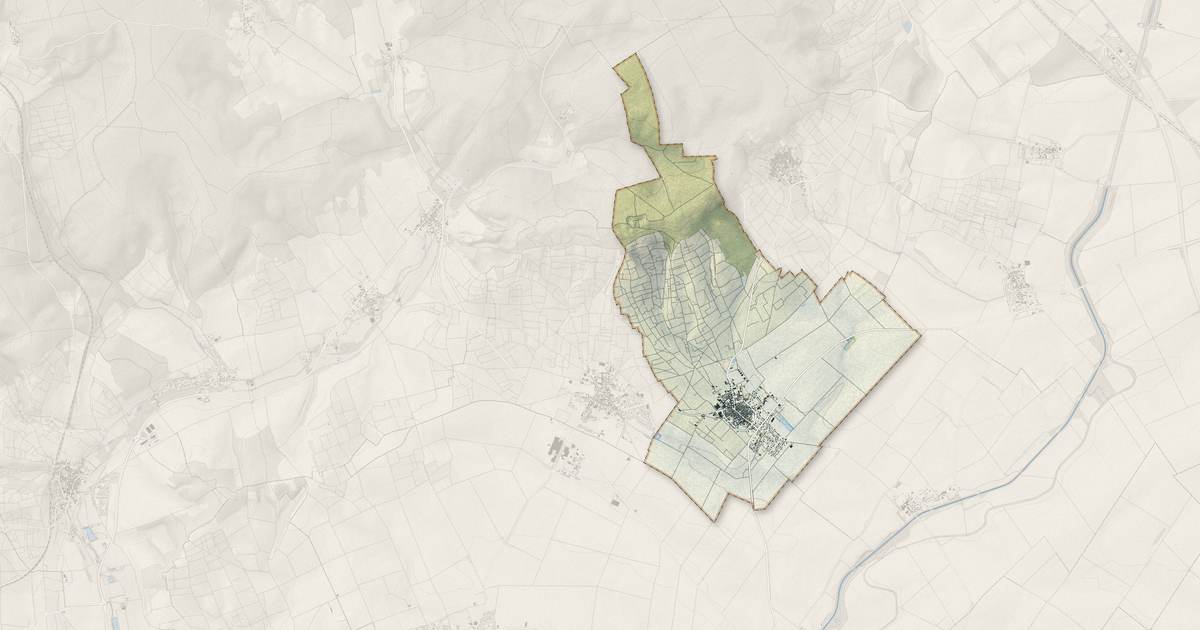 Portrait cartographique de Ambonnay : relief, eau, forêts, bâti et voies, calculés à partir des données de l'IGN