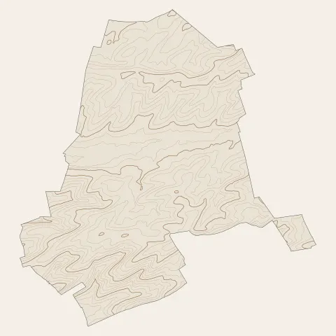 Courtisols : courbes de niveau
