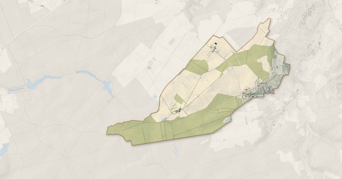 Portrait cartographique de Morangis : relief, eau, forêts, bâti et voies, calculés à partir des données de l'IGN