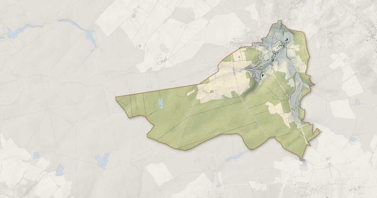Portrait cartographique de Moslins : relief, eau, forêts, bâti et voies, calculés à partir des données de l'IGN