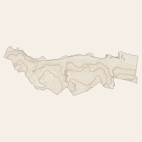 Muizon : courbes de niveau
