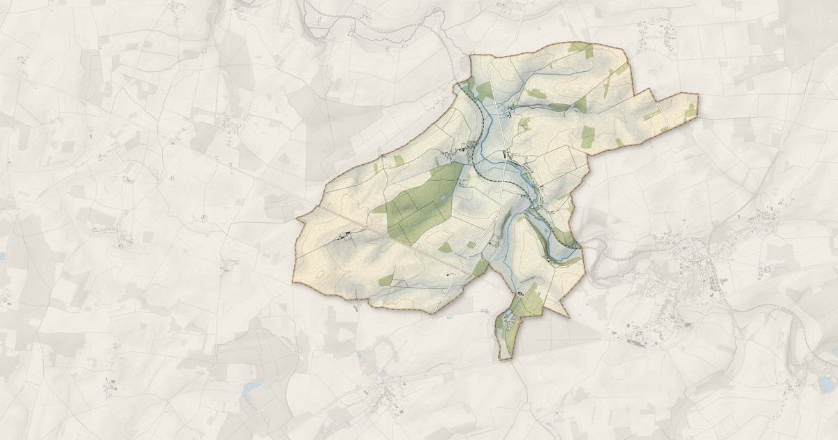 Portrait cartographique de Neuvy : relief, eau, forêts, bâti et voies, calculés à partir des données de l'IGN