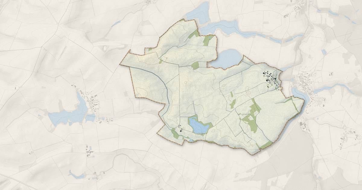 Portrait cartographique de Remicourt : relief, eau, forêts, bâti et voies, calculés à partir des données de l'IGN