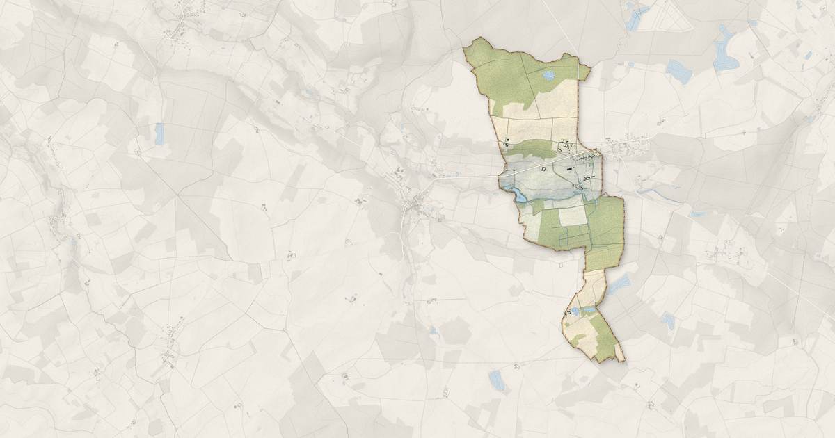 Portrait cartographique de Suizy-le-Franc : relief, eau, forêts, bâti et voies, calculés à partir des données de l'IGN