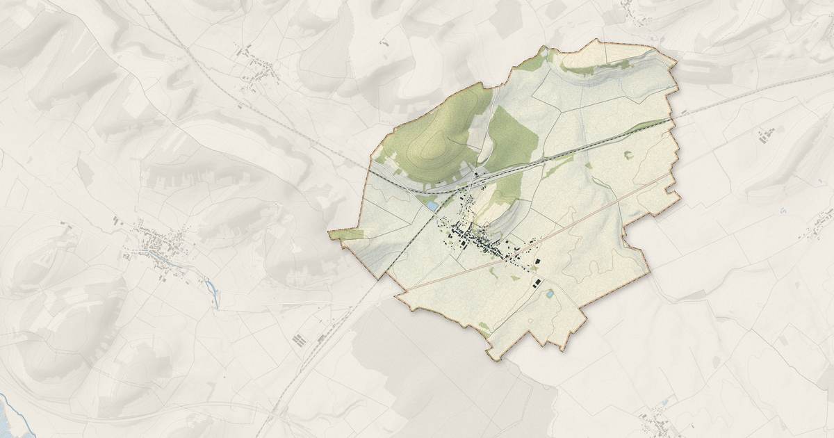 Portrait cartographique de Bricon : relief, eau, forêts, bâti et voies, calculés à partir des données de l'IGN