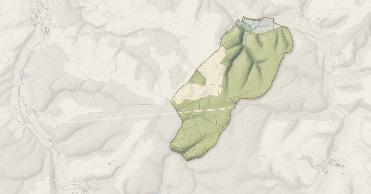 Portrait cartographique de Charmes-en-l'Angle : relief, eau, forêts, bâti et voies, calculés à partir des données de l'IGN