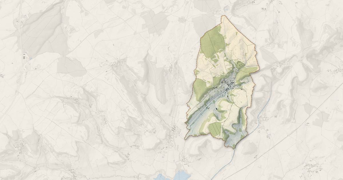 Portrait cartographique de Cohons : relief, eau, forêts, bâti et voies, calculés à partir des données de l'IGN