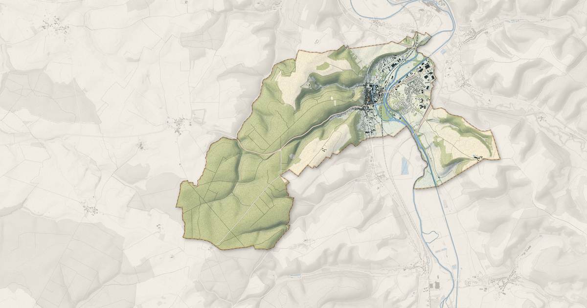 Portrait cartographique de Joinville : relief, eau, forêts, bâti et voies, calculés à partir des données de l'IGN