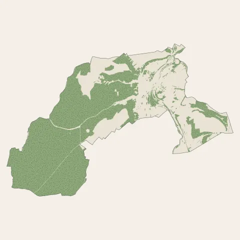 Joinville : bois, forêts et landes