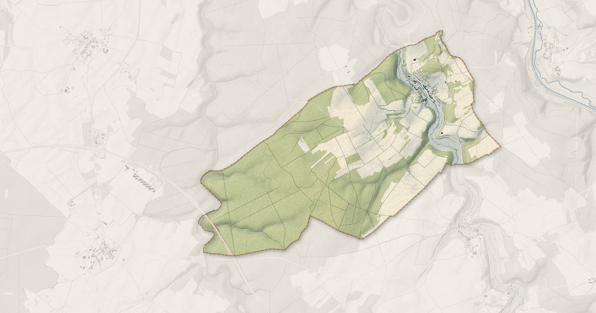 Portrait cartographique de Neuilly-sur-Suize : relief, eau, forêts, bâti et voies, calculés à partir des données de l'IGN